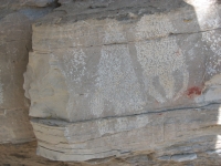 Big Bend Petroglyphs